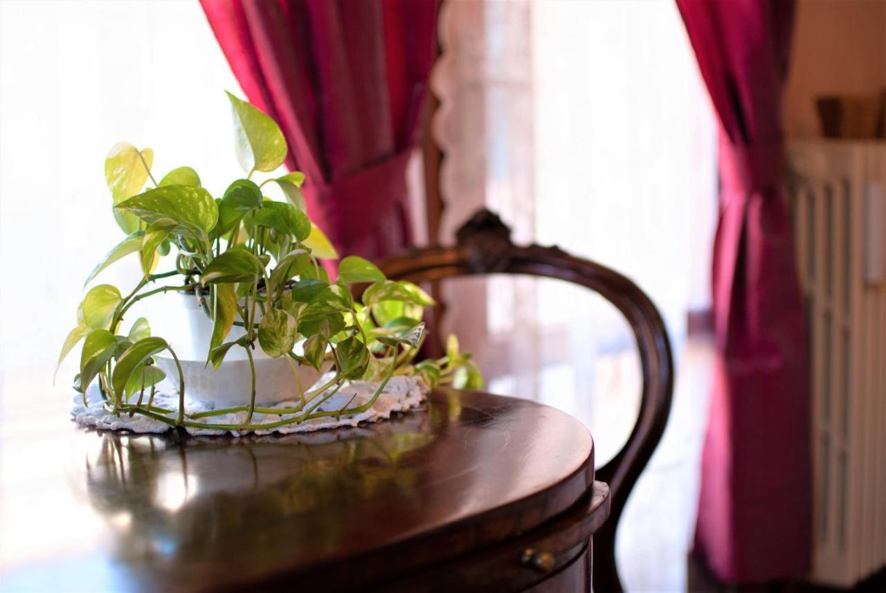 Casa Torresino Hotel ปาโดวา ภายนอก รูปภาพ